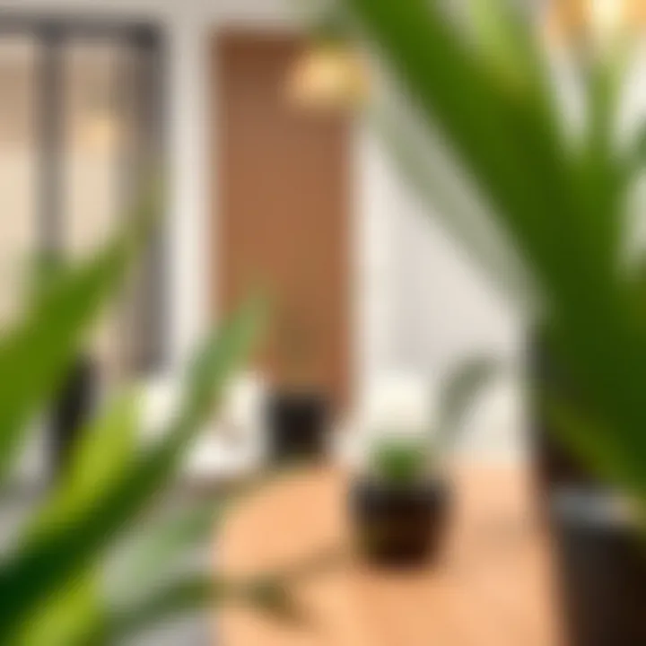 A stylish conference room featuring tall black ceramic pots as decor