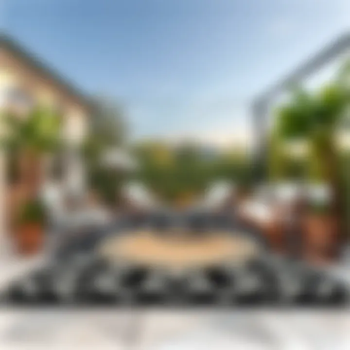 Elegant outdoor setup featuring a black and white rug