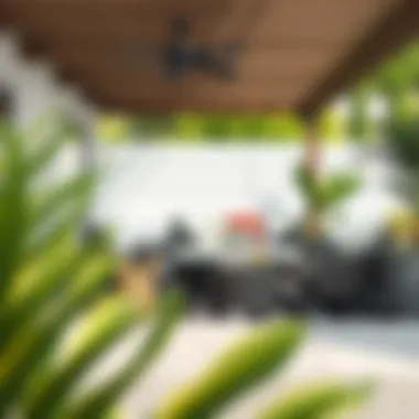 Stylish patio with black and white rug integration