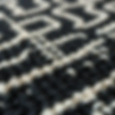 Close-up of a textured black and white outdoor rug