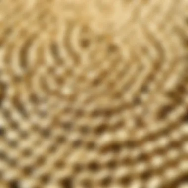 Close-up of the intricate braiding patterns of a four-foot round rug