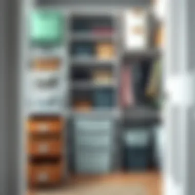 Organized closet showcasing diverse uses of plastic bins