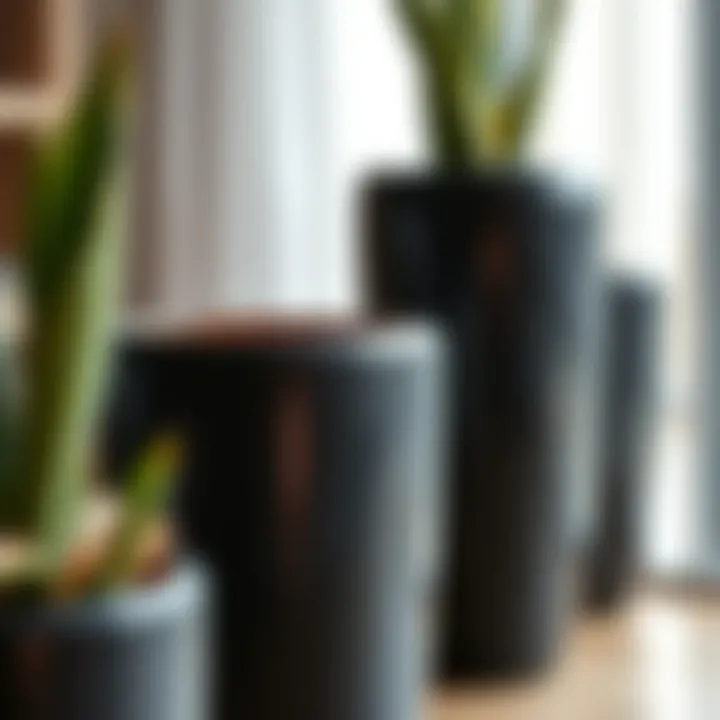 Close-up of a tall black ceramic pot showcasing its texture and shine