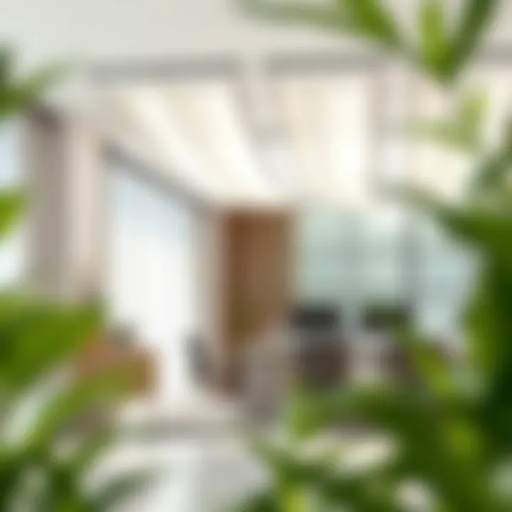 Enhancing Natural Light with Sheer Curtain Canopies A modern office space featuring sheer curtain canopies that enhance natural light