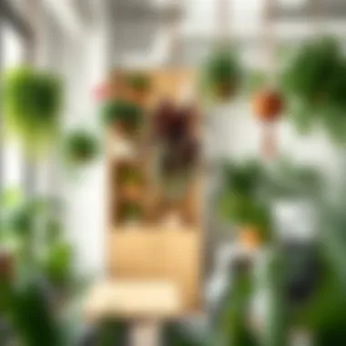 Different styles of hanging fake plants that blend seamlessly with modern office design