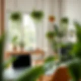 Enhancing Aesthetics with Hanging Fake Plants A carefully arranged workspace featuring hanging fake plants for aesthetic enhancement