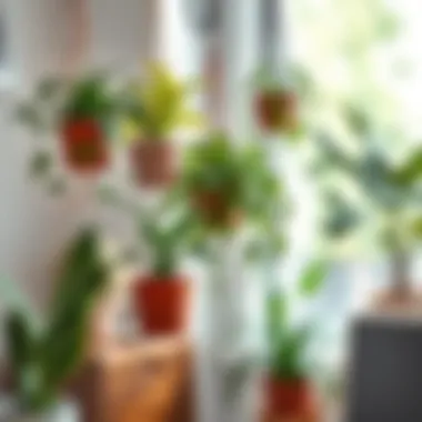 Maintenance tips for keeping hanging fake plants looking fresh and vibrant in a workspace