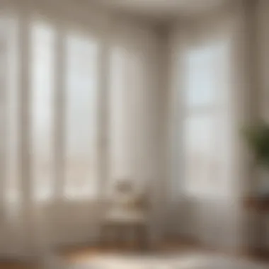 Diverse Designs of Embroidered Sheer Window Panels Variety of embroidered sheer window panels in different designs