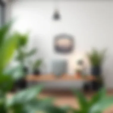 An inviting workspace decorated with tall black ceramic pots and plants